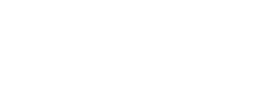 Björk Ventures